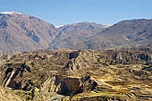 The Colca Valley is one of the most intensively terraced regions in the Andes 